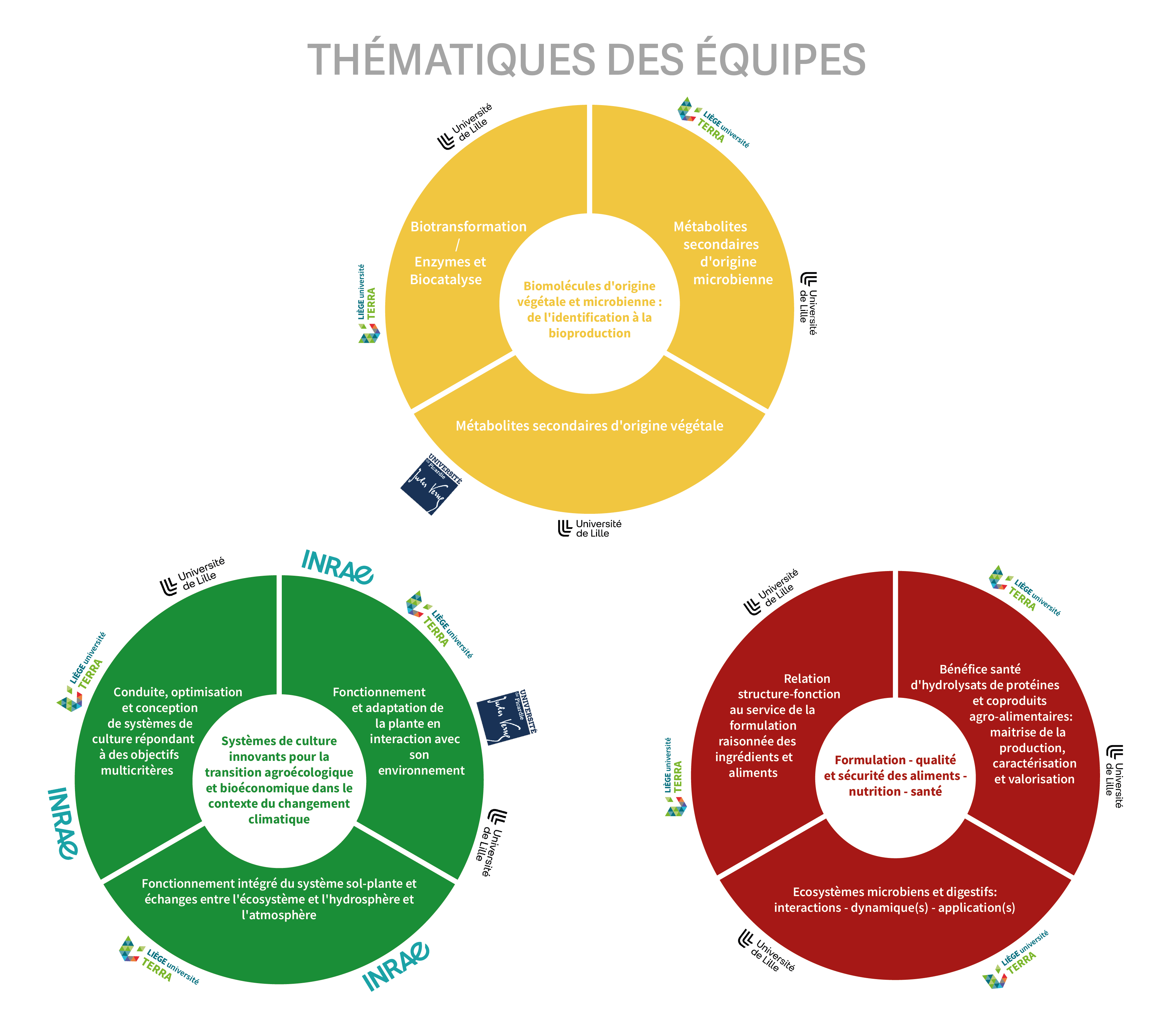 9 équipes et 3 poles