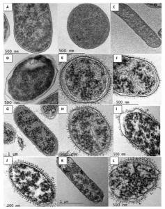 Figure 3 ECOANTIBIO 2023 Award