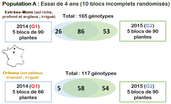 Description du dispositif expérimental de la population SiA