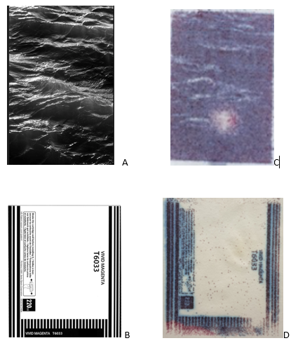 Figure: Images imprimées (A et B)  avec une encre chimique comparées à celles produites par l’utilisation de spores de Streptomyces  (C et D)